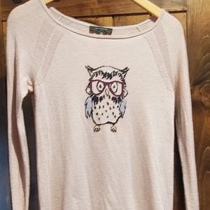 Ann Taylor owl sweater